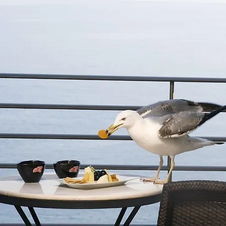 Cinar Hotel Istanbul