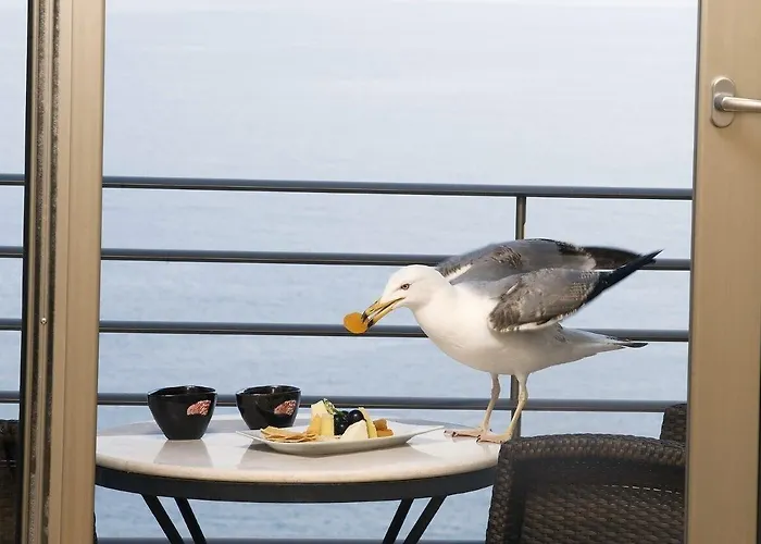 Cinar Hotel Istanbulská provincie