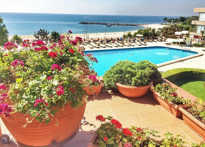 فندق Cinar اسطنبول