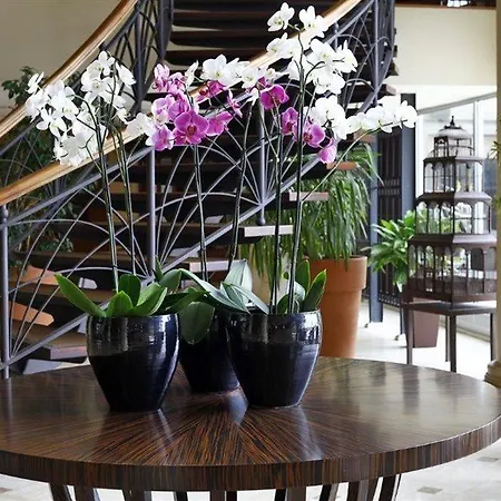 Hotel Cinar